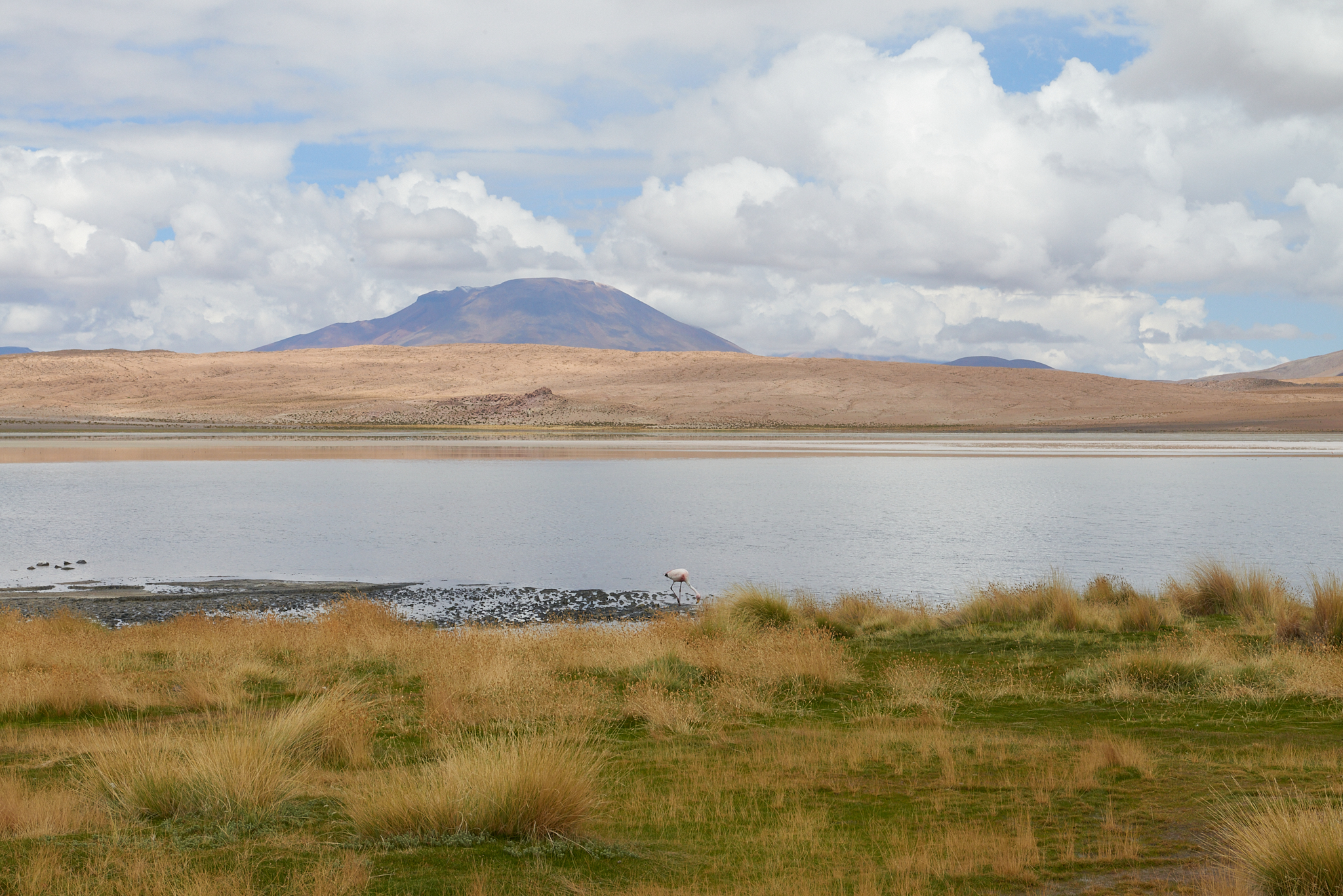 20200313 452 [볼리비아] 카냐파 호수